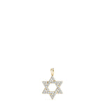 Load image into Gallery viewer, Pendants