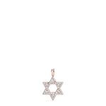 Load image into Gallery viewer, Pendants