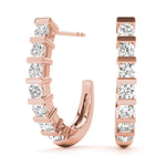 Load image into Gallery viewer, Earrings