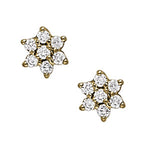 Load image into Gallery viewer, Earrings