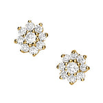 Load image into Gallery viewer, Earrings
