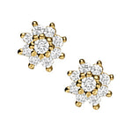 Load image into Gallery viewer, Earrings