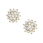 Load image into Gallery viewer, Earrings