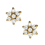 Load image into Gallery viewer, Earrings