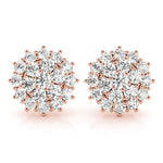 Load image into Gallery viewer, Earrings