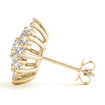 Load image into Gallery viewer, Earrings