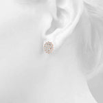 Load image into Gallery viewer, Earrings