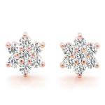 Load image into Gallery viewer, Earrings