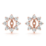 Load image into Gallery viewer, Earrings