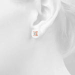 Load image into Gallery viewer, Earrings