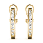 Load image into Gallery viewer, Earrings