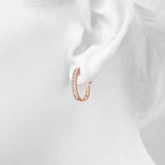 Load image into Gallery viewer, Earrings