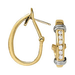 Load image into Gallery viewer, Earrings