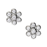 Load image into Gallery viewer, Earrings