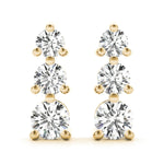 Load image into Gallery viewer, Earrings