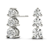 Load image into Gallery viewer, Earrings