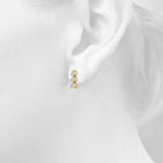 Load image into Gallery viewer, Earrings