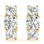 Load image into Gallery viewer, Earrings