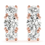 Load image into Gallery viewer, Earrings