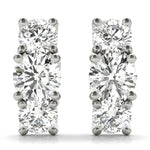 Load image into Gallery viewer, Earrings