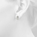 Load image into Gallery viewer, Earrings