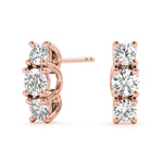 Load image into Gallery viewer, Earrings