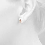 Load image into Gallery viewer, Earrings
