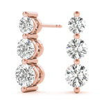 Load image into Gallery viewer, Earrings