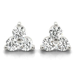 Load image into Gallery viewer, Earrings