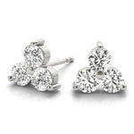 Load image into Gallery viewer, Earrings