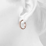 Load image into Gallery viewer, Earrings