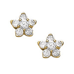 Load image into Gallery viewer, Earrings