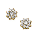 Load image into Gallery viewer, Earrings