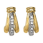 Load image into Gallery viewer, Earrings