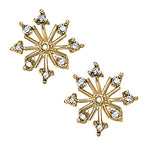 Load image into Gallery viewer, Earrings