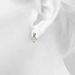 Load image into Gallery viewer, Earrings