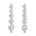 Load image into Gallery viewer, Earrings