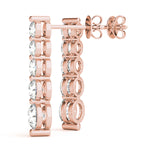 Load image into Gallery viewer, Earrings