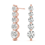 Load image into Gallery viewer, Earrings