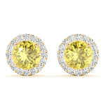 Load image into Gallery viewer, Earrings