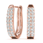 Load image into Gallery viewer, Earrings