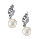 Load image into Gallery viewer, Earrings