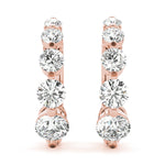 Load image into Gallery viewer, Earrings