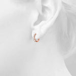 Load image into Gallery viewer, Earrings