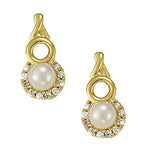 Load image into Gallery viewer, Earrings