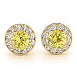Load image into Gallery viewer, Earrings