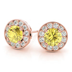 Load image into Gallery viewer, Earrings