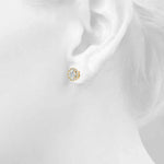 Load image into Gallery viewer, Earrings