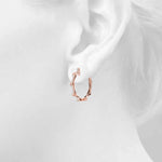 Load image into Gallery viewer, Earrings
