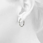 Load image into Gallery viewer, Earrings